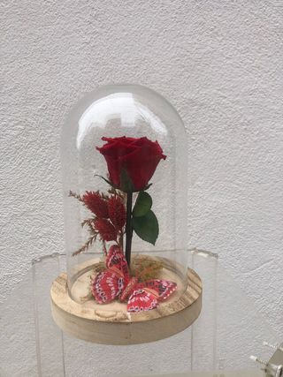 Cupula Rosa Eterna Roja