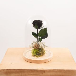 Cúpula Rosa "Bella Y Bestia" Negra