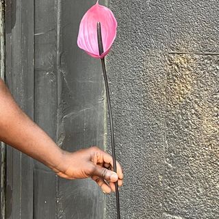 1 Tige Anthurium Rose Foncée Artficiel 