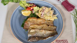 Dimljena pastrmka filet