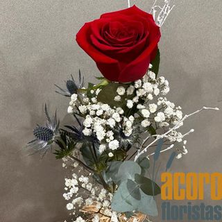 Rosa Roja Unidad Decorada