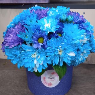 ლურჯი ქრიზანთემები