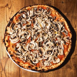 ROSSA COI FUNGHI