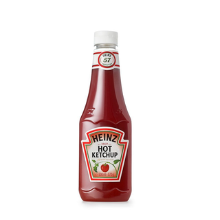 Ketchup picant Heinz 570g