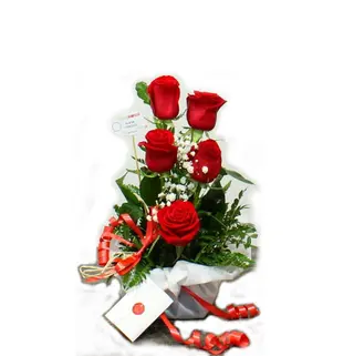 CENTRO 5 ROSAS 300086