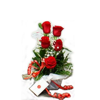 CENTRO 5 ROSAS 300086