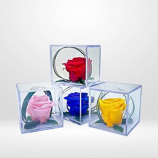 Rosa preservada en caja de metacrilato