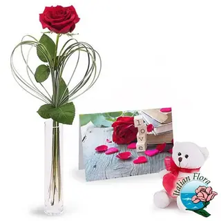 Orsetto di peluche con cartolina e rosa rossa