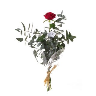 Rosa Roja Unidad Con Verdes