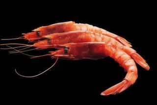 85. Ama ebi sashimi - 9 pezzi