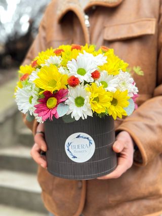 ფერადი ქრიზანთემის ყუთი