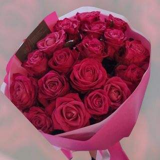 RÓŻA MALINOWA 25 SZTUK