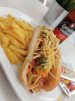 Perrito Dallas