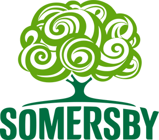 Somersby BlackBerry 33cl