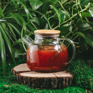 ЧАЙ КЛУБНИКА-МАНГО  (700 мл.)