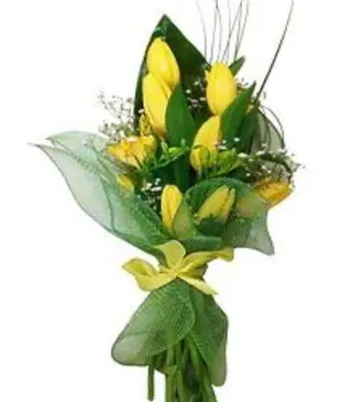 Buchet lung 