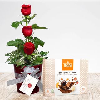 DELICIAS DE ROSAS 3,3