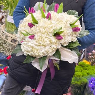 Hortensii albe și lalele mov