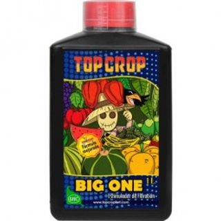 Big one 100ml