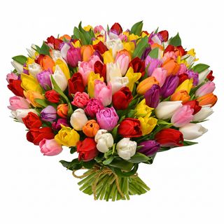 101 різнокольоровий тюльпан!