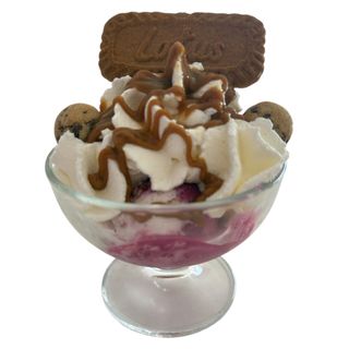 Copa lotus ( novedad 2025)