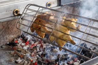Frango Assado