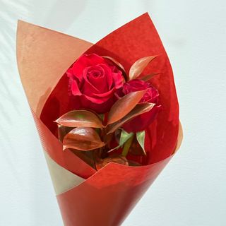 Rosas Rojas 2 Tallos