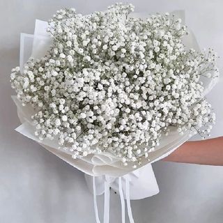 Bukiet białej gipsówki 