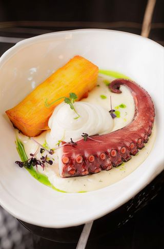 Caracatita la josper alaturi de cartofi pavè, piure de telina si fenicul, sos aioli 350 gr 