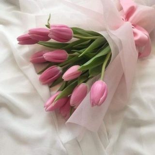 ტიტები (15)