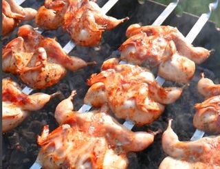 Шашлык из перепёлки