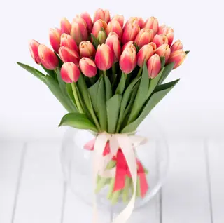 mazzo di 30 tulipani ( Fiore Fresco dall'Olanda )