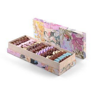 Boite Perroquet Réctangle