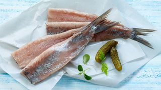 [RYB] Matias holenderski (1 szt)