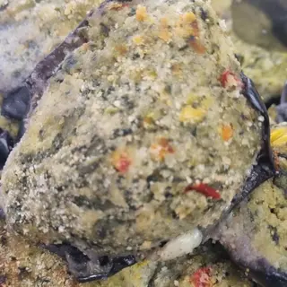 Melanzane gratinate gr 200