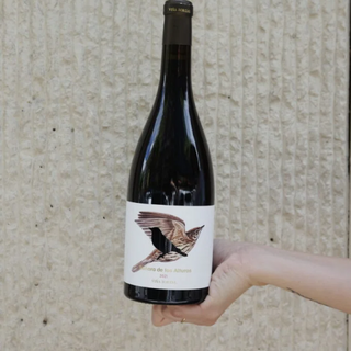 Señora De Las Alturas 2021 _ Viña Zorzal