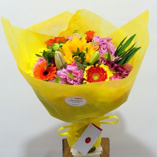 RAMO ALEGRÍA MAMÁ 11,0