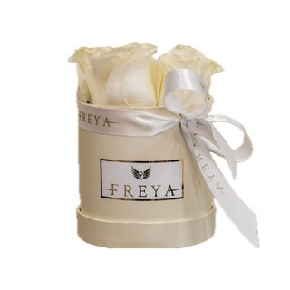 Cutie 5 trandafiri Mondial