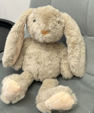 Mały beżowy królik