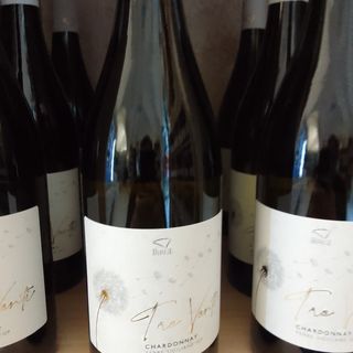 Chardonnay Doc Tre Venti Cantine Birgi