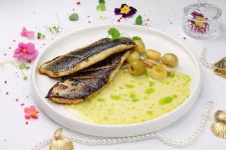 Сібас із соусом Грюєр (250г)