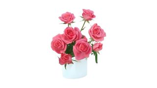  1 ცალი ვარდისფერი სპრეი ვარდი