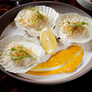 Морской гребешок 