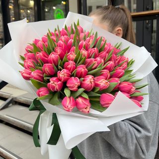 75 рожевих півоноподібних тюльпанів