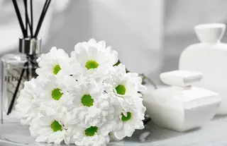 consegna Bouquet 7 margherite bianche 