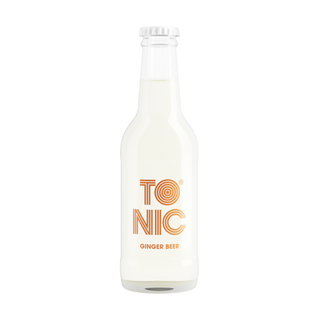 TO NIC ginger beer 0,2l