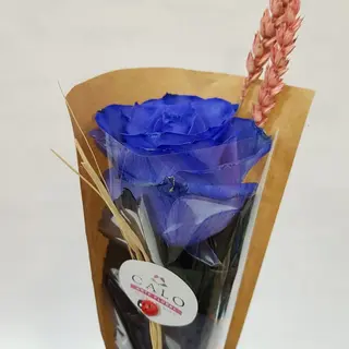 Rosa Azul Kraf