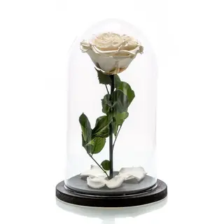 Forever Rose (Trandafir criogenat Alb)