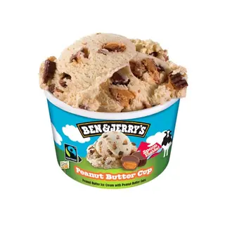 Ben & Jerry's Peanut Butter Cup (100ml)
