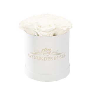 7 trandafiri criogenati albi in cutie alba